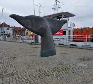 Ansichten der Vegesacker Wal-Schwanzflosse