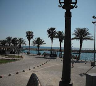 Muss man gesehen haben