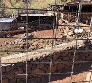 Inseltour Romántica Alltours