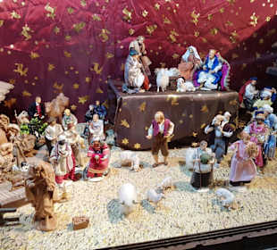 Grippenausstellung versch. Leihgaben