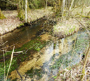 Naturschutzgebiet Kupferbachtal