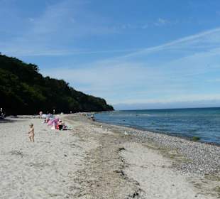 Strand von Diedrichshagen