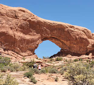 Window