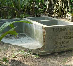 Erinnerung an den Tsunami