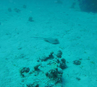 Besuch zur Gedenkstätte