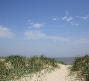 Strand in Schillig