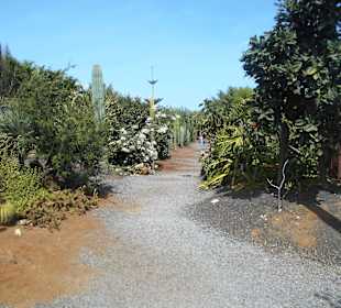 Botanischer Garten Viveiro