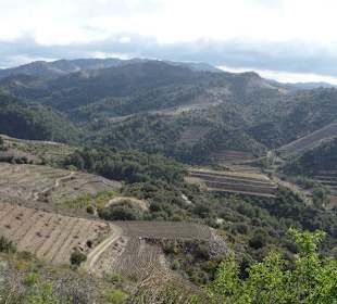 Viñedos, monasterios y paisajes preciosos