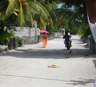 Unbekannte Welt im Paradies