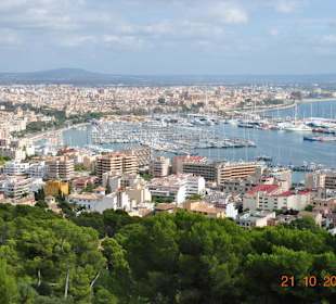 Blick auf Palma