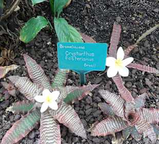 Teilweise mit Beschriftung