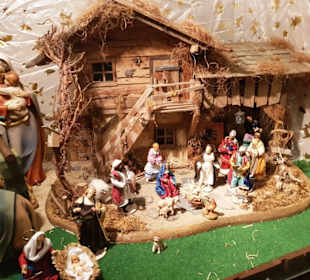 Grippenausstellung versch. Leihgaben