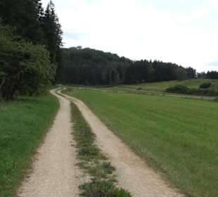 Wanderung Froschteich-Tour