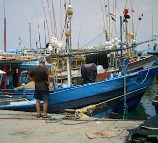Im Hafen von Mirissa