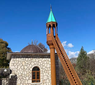 Ormana Düğmeli Evler