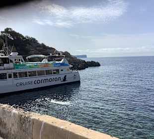 Cruceros Cormoran