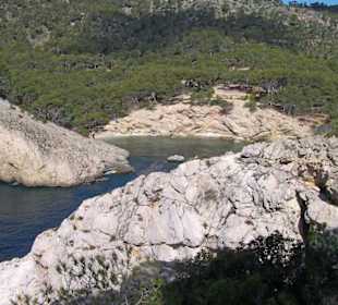 Bucht bei Cala Fornell