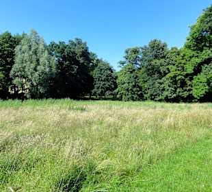 Impressionen aus dem Oslebshauser Park