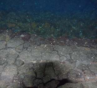  Jameos del Agua Cesar Manrique