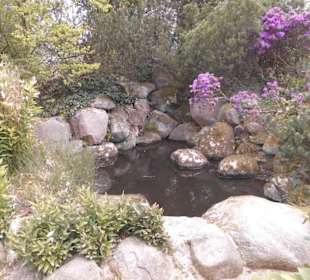 Weltvogelpark Walsrode