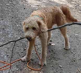 Wandern Bad Wildungen