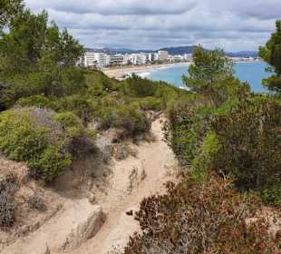 Wanderweg mit Ausblick.