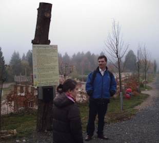 Bereich des neu angelegten Abenteuer-Spielplatzes