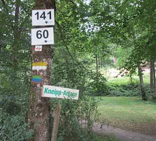  Wanderweg Helmbachweiher - Hornesselwiese