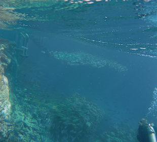 Der erste Blick unter Wasser