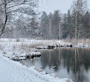 Seerundweg