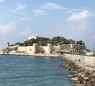 Vogelinsel / Taubeninsel