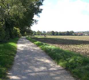 Schaukelweg an der Donau