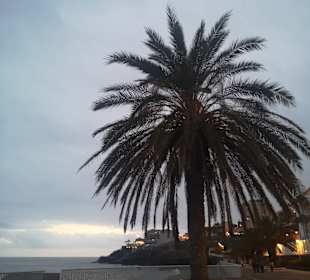 Promenade Caniço
