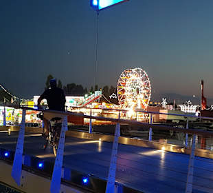 Yachthafen Bellaria-Igea Marina