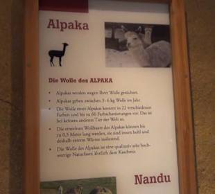 Südamerikabereich - Alpakahaus