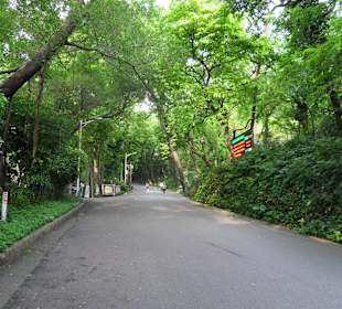 Yuexiu Park