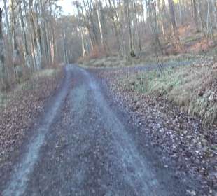 Wanderung rund um den Ochsenweiher
