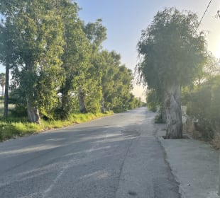 Wandern Lambi