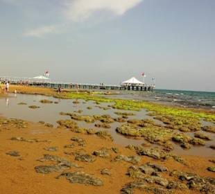 Gündogdu bei Ebbe