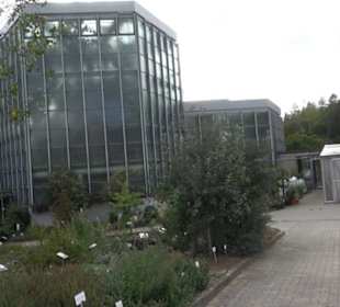 Apothekergarten