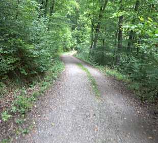 Altwege Rundwanderung Bebenhausen