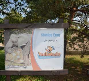 Zoo