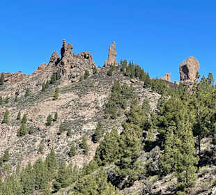 Inselrundfahrt Gran Canaria