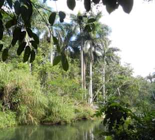 EL Nicho Park