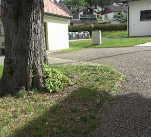 Bürgerhaus Waldachtal Förderverein e.V.