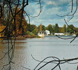 Парк Замка Ойтин. Золотая осень.