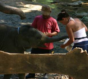 Nationalpark Khao Sok