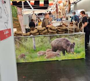 Reichhaltiges vom Wildschwein