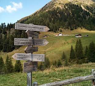 Wanderung via Alpina Bozen-Jenesien-Meran 2000
