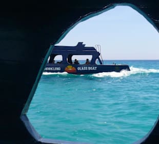 Ausflug zum Magawish Riff